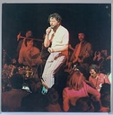 Jerry Lee Lewis – 24 Original Golden Rocks (2LPs usado)